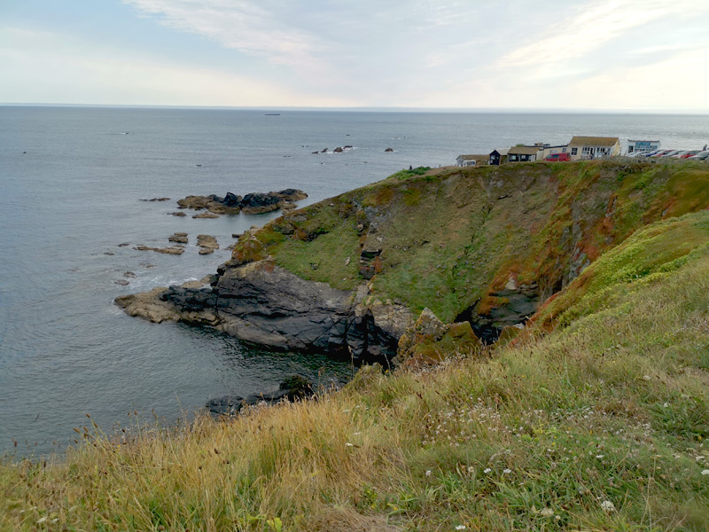 Lizard Point