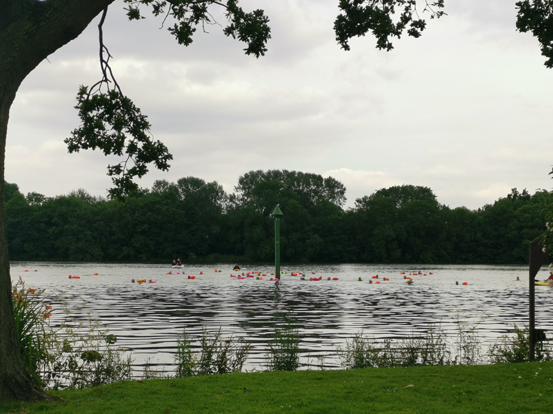 Swimming in the river